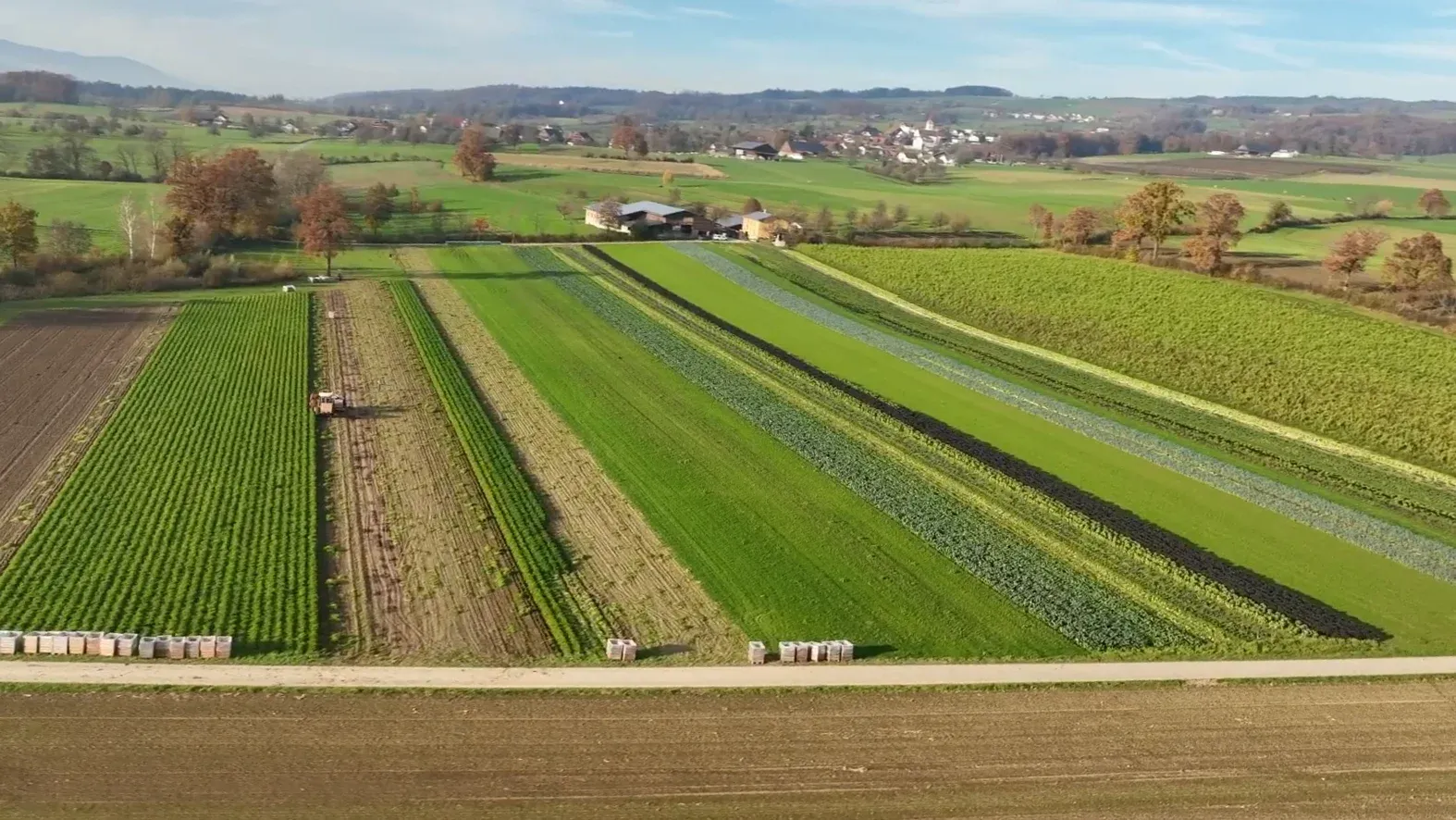 Luftaufnahme der Gemüsefelder in langen Streifen, dahinter Bäume, Höfe und Hügel